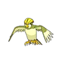 Pidgeotto