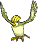 Pidgeotto