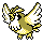 Pidgey