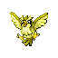 Pidgey