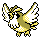 Pidgey