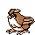 Pidgey
