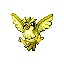 Pidgey