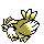 Pidgey