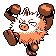Primeape