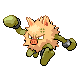 Primeape