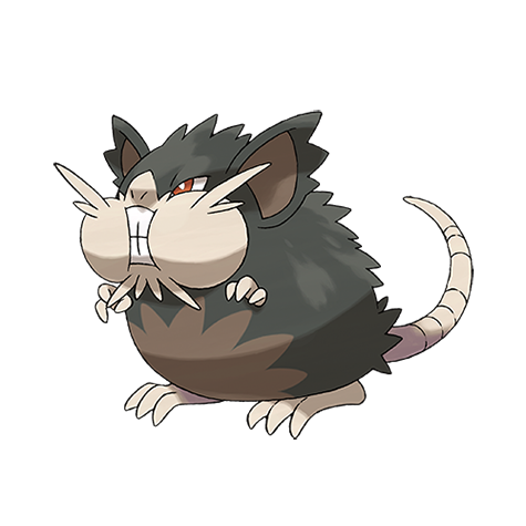 Alolan Raticate
