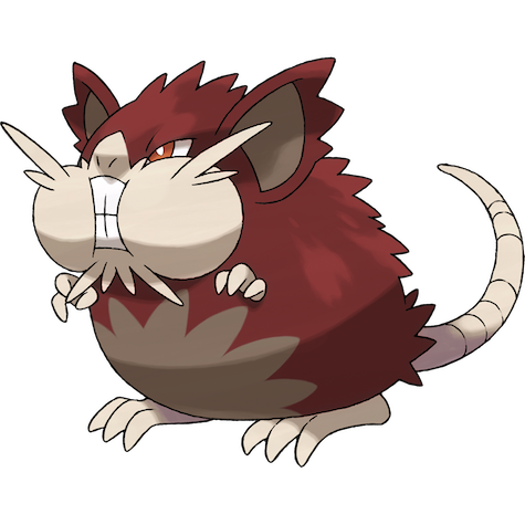 Alolan Raticate