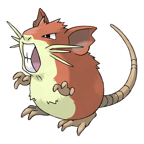 Raticate