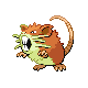 Raticate