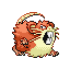Raticate