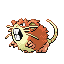 Raticate