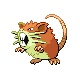 Raticate