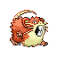 Raticate