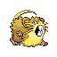 Raticate