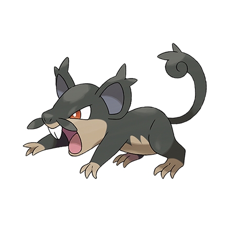 Alolan Rattata