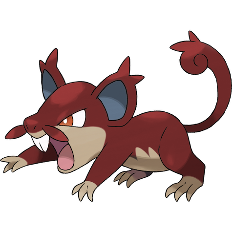 Alolan Rattata