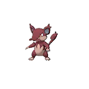 Alolan Rattata