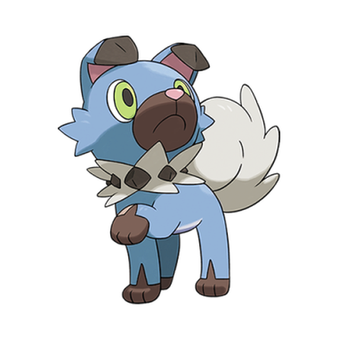 Own Tempo Rockruff