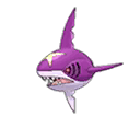 Sharpedo