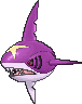 Sharpedo