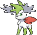 Sky Shaymin