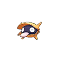 Shellder