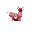 Skorupi