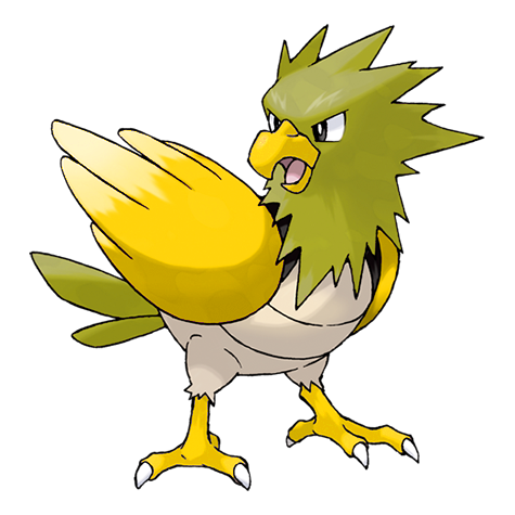 Spearow