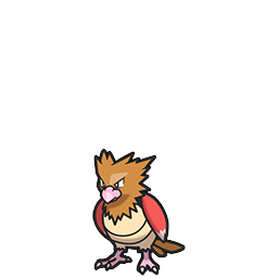 Spearow