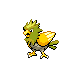 Spearow