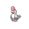 White Plumage Squawkabilly