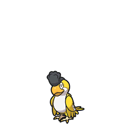 Yellow Plumage Squawkabilly