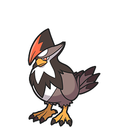 Staraptor