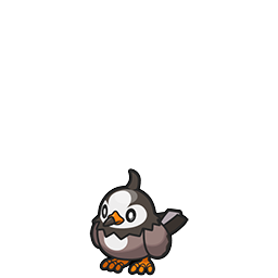 Starly