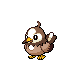Starly