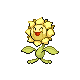 Sunflora