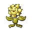 Sunflora