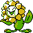 Sunflora
