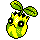 Sunkern