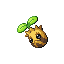 Sunkern