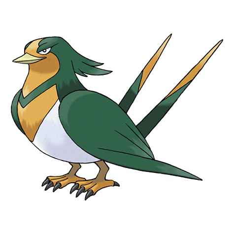 Swellow