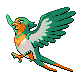 Swellow