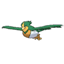 Swellow