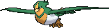 Swellow