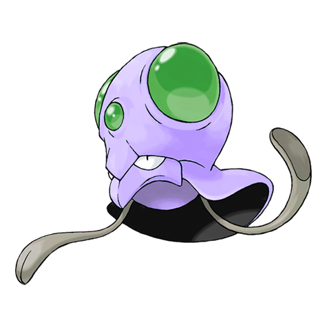 メノクラゲ