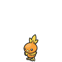 Torchic