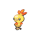 Torchic