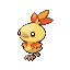 Torchic