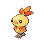Torchic